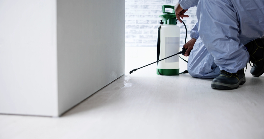 Professional pest control technician spraying for pests