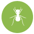 Ants