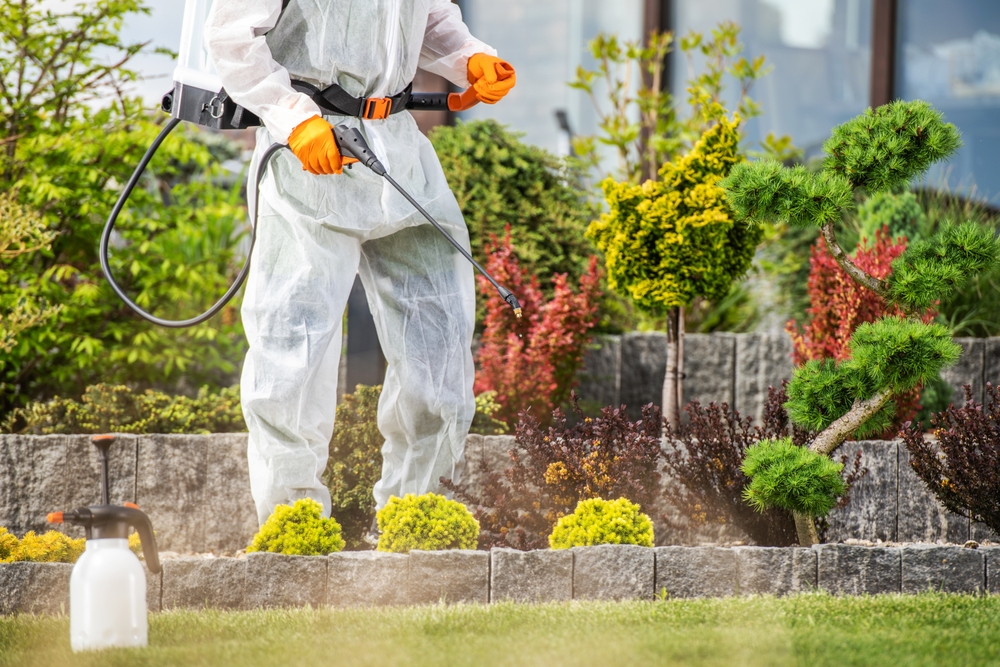 Residential Pest Control